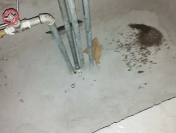 始兴卫生间测漏水价格明细